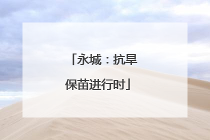 永城：抗旱保苗进行时